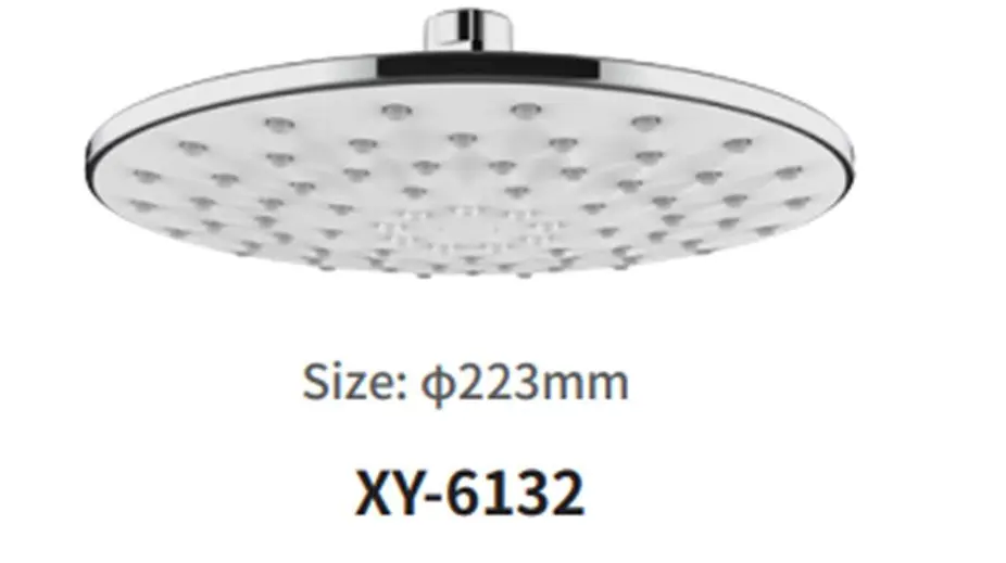 Could a Premium Adjustable Ceiling-Mounted Shower Head Be Your Best Upgrade?